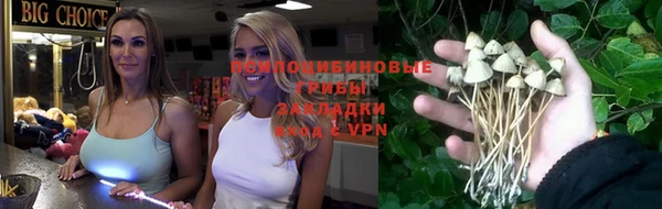 ALPHA PVP Переславль-Залесский
