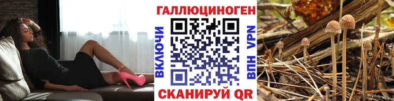 Псилоцибиновые грибы мицелий  Струнино 